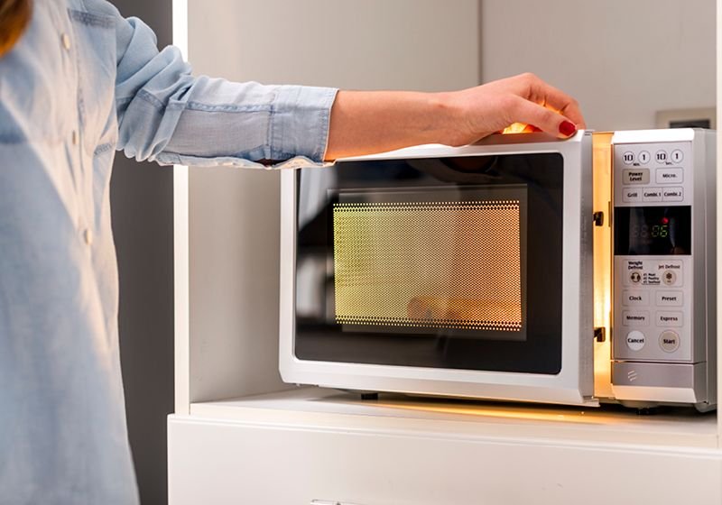 Bacteria Brave Heat to Thrive in Microwaves