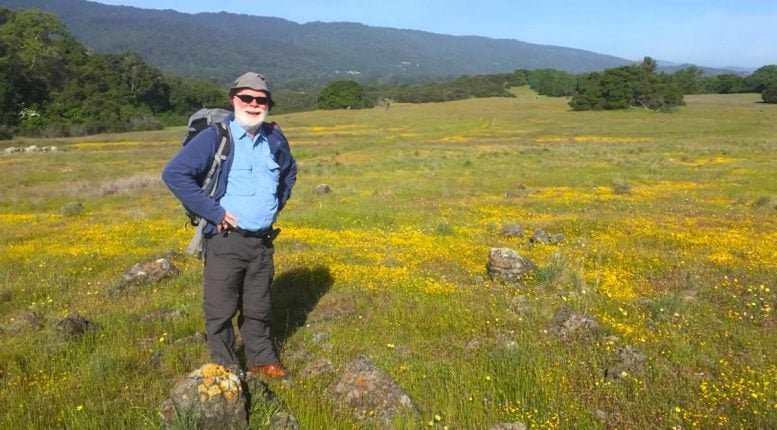 California’s Grasslands Transform Rapidly Under Climate Stress