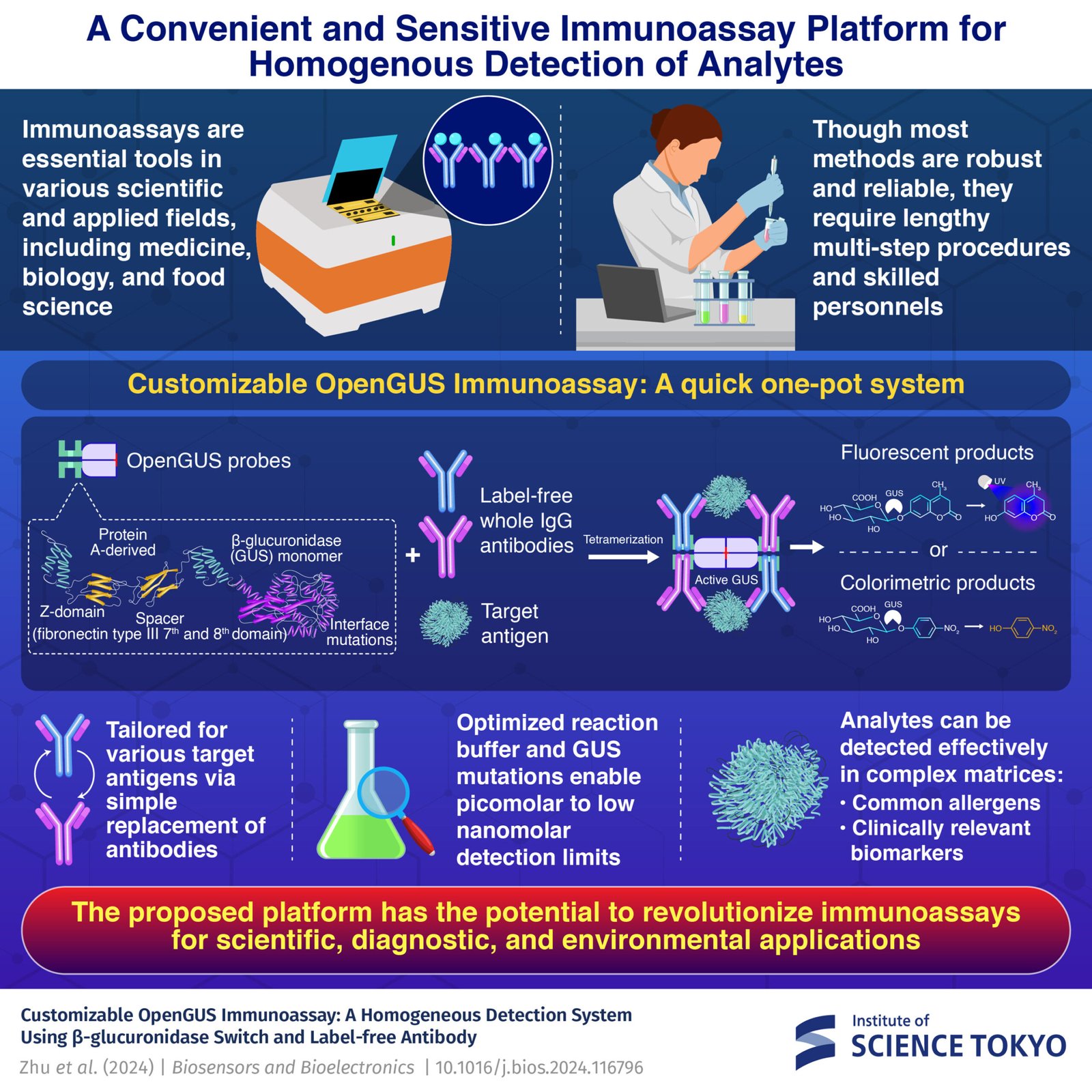 Customizable immunoassay could enhance diagnostics and on-site assessments