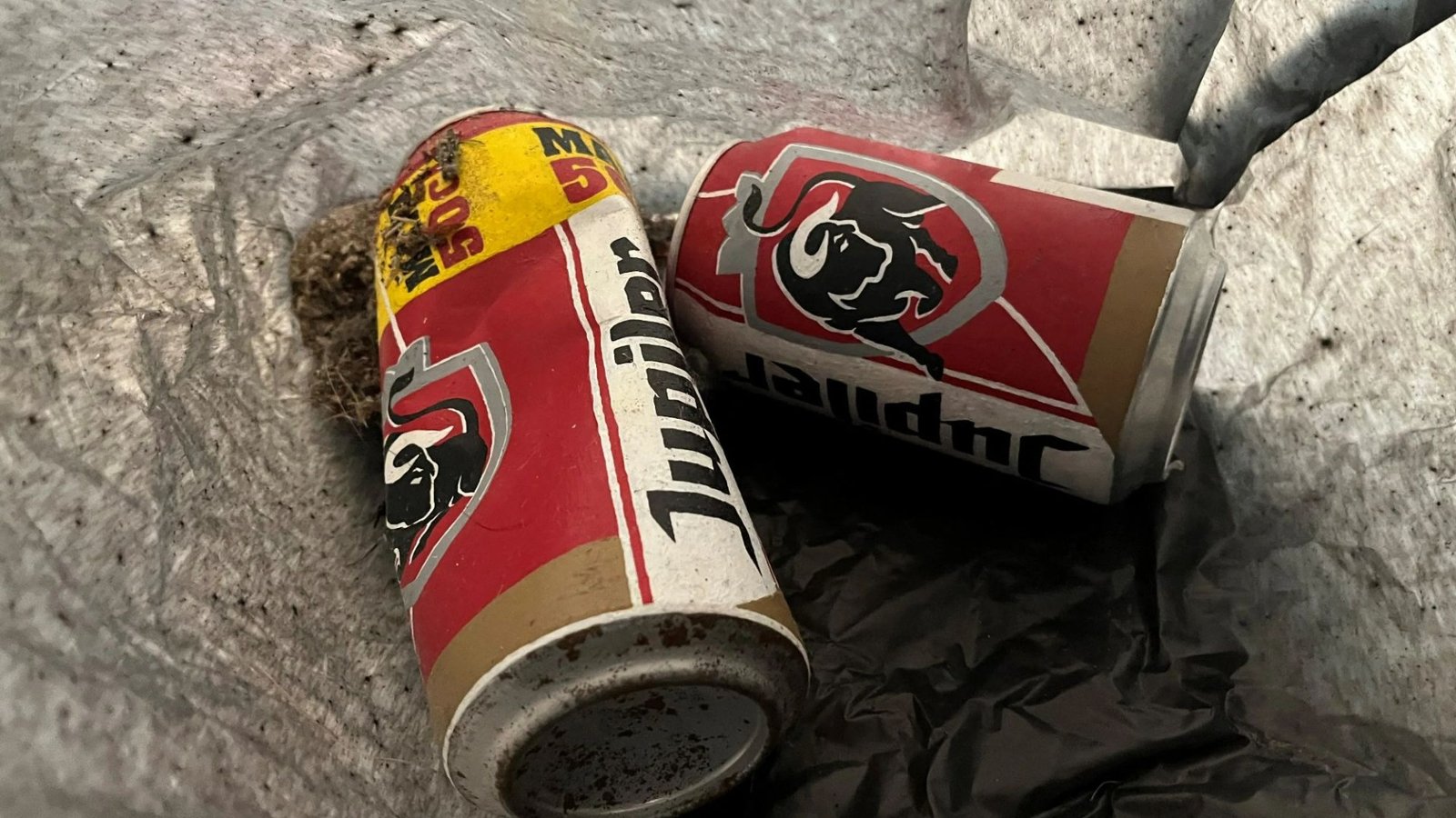 Dogooder mechanic throws away ‘beer cans’ left in museum - only to be told they’re modern art pieces