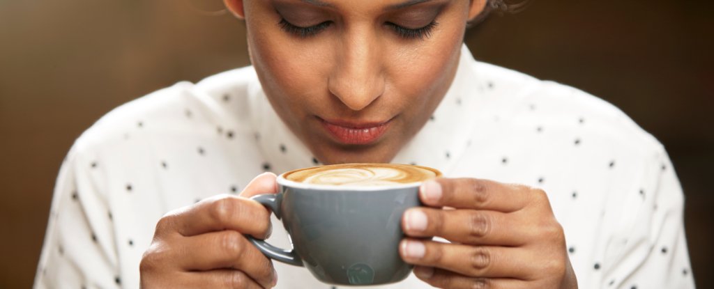 Drinking Caffeine May Reduce Alzheimer's Clumps in The Brain, Study Finds : ScienceAlert