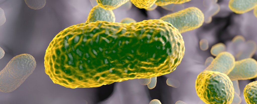 Forgotten Antibiotic From Decades Past Could Be a Superbug Killer : ScienceAlert