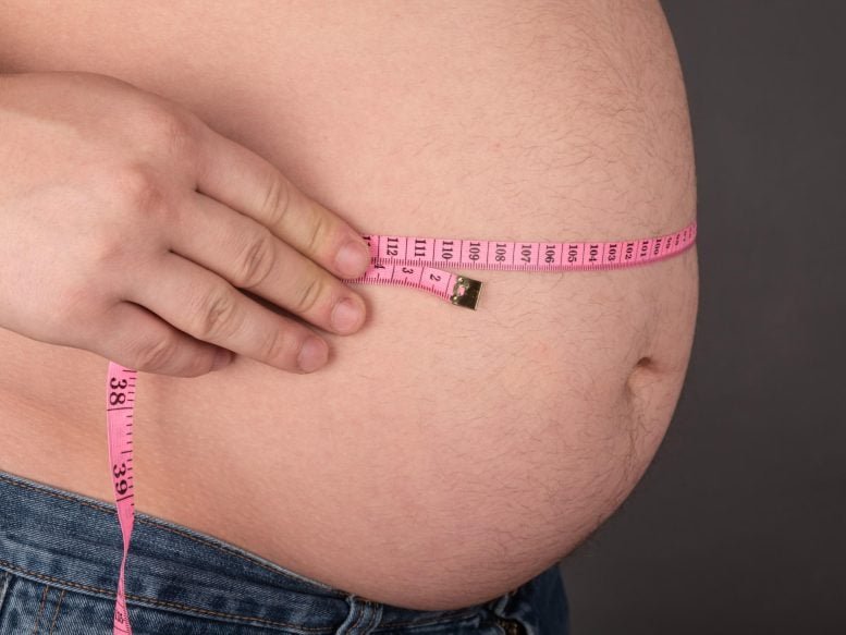 Game-Changing New Obesity Treatment Inhibits Fat Absorption