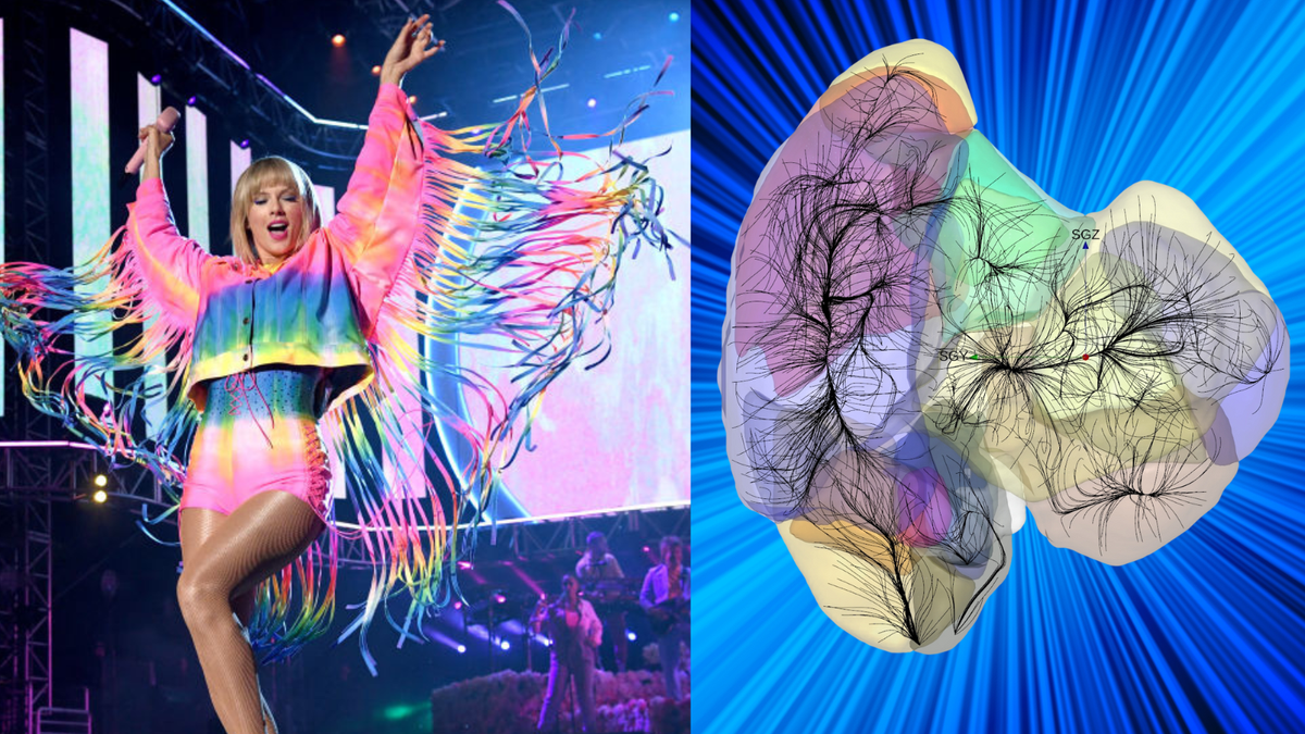 A woman wearing a bright tassled jacket and shorts next to a heart shaped mass of colored sections with dark lines running through it