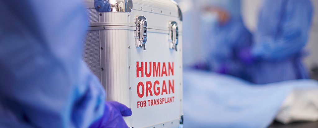 Man Declared Brain Dead Wakes Up as Organs About to Be Removed : ScienceAlert