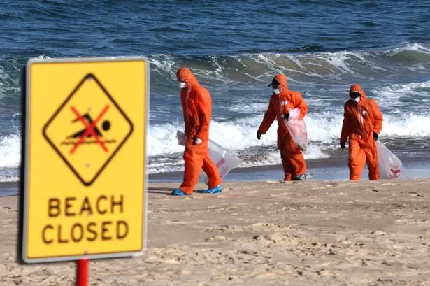 Mysterious tar balls wash up on Sydney beaches and force beach closures