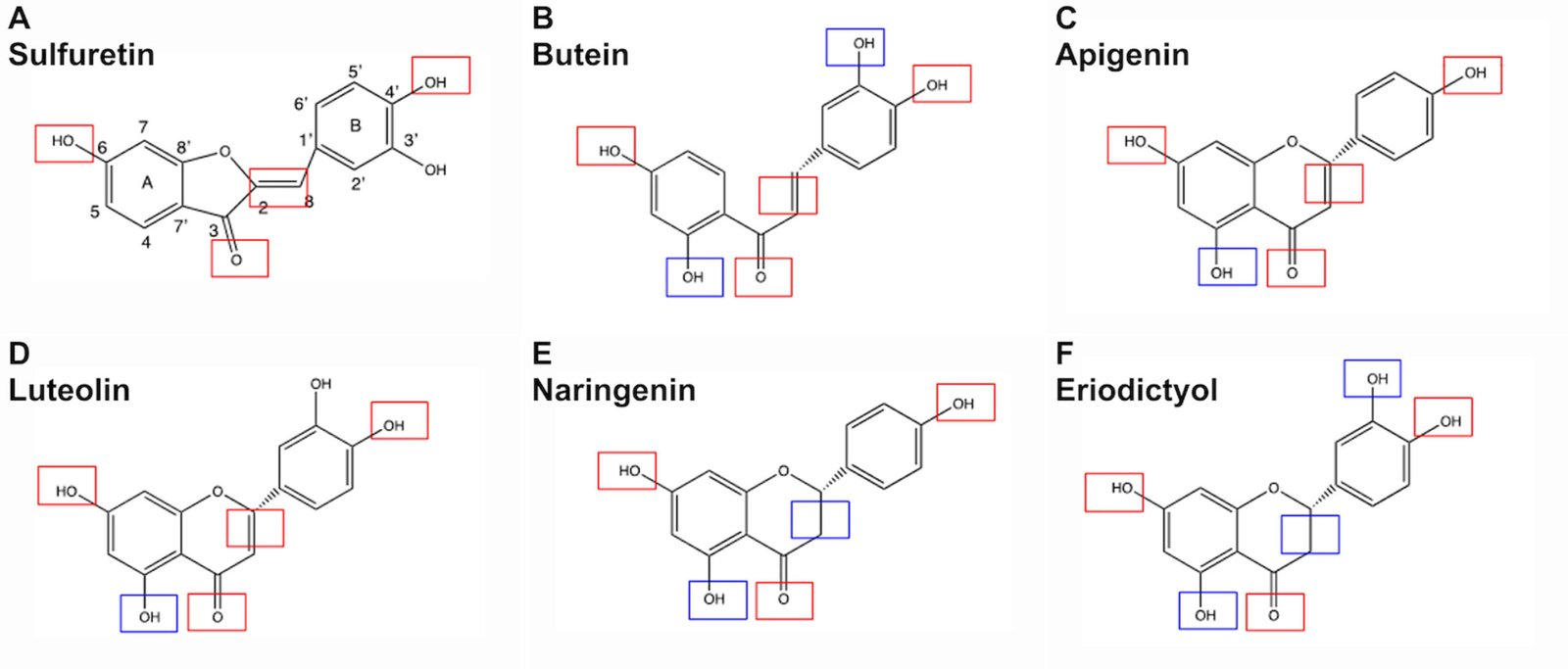 Natural compound found in flowers blocks activity of an enzyme involved in multiple sclerosis and cancer