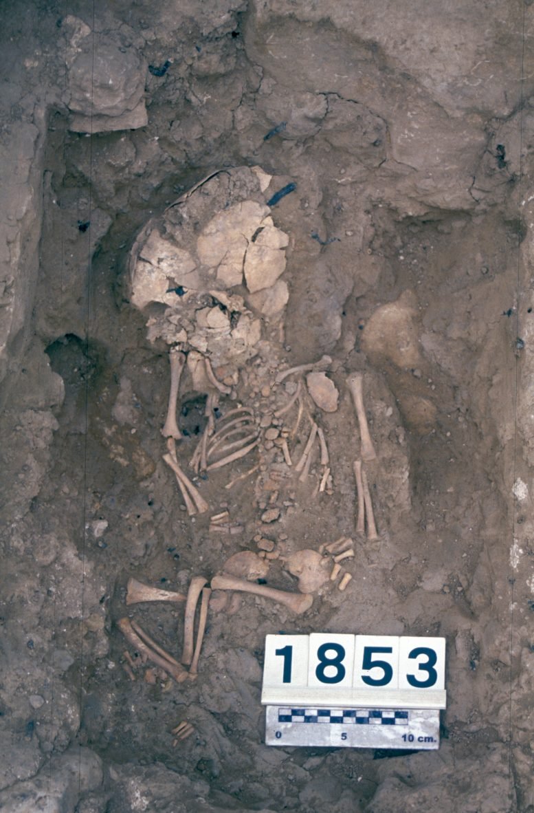 New Study Solves Ancient Iberian Infant Mortality Mystery