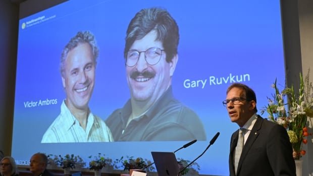 Nobel Prize in Medicine goes to U.S. biologists who discovered microRNA