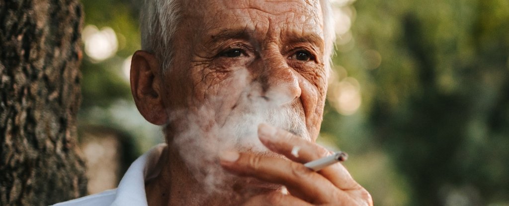 Quitting Smoking Even at 75 Can Increase Life Expectancy, Study Finds : ScienceAlert