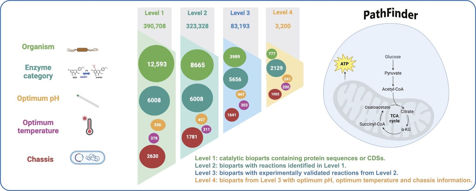 Researchers develop database for catalytic bioparts with experimental evidence