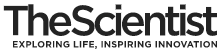 Smelling Illness: Volatile Organic Compounds as Neurological Disease Biomarkers