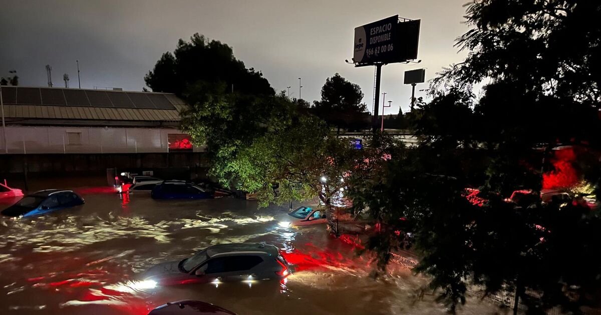 Spain floods: At least 51 people killed and many stranded | World | News