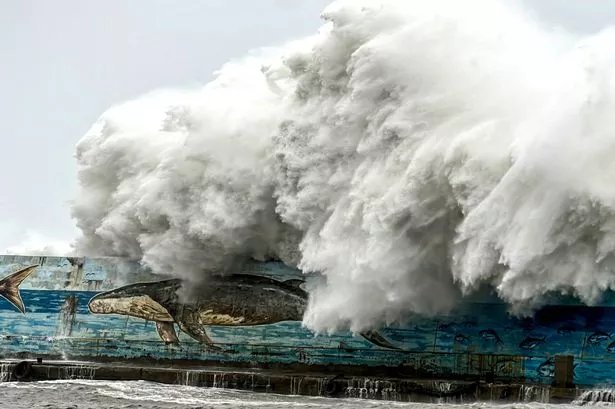 Taiwan battered by horror super-typhoon as 'biggest storm for 30 years' brings chaos