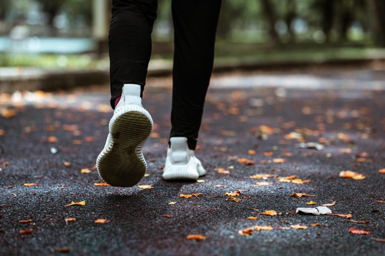 Jogging Walking Park