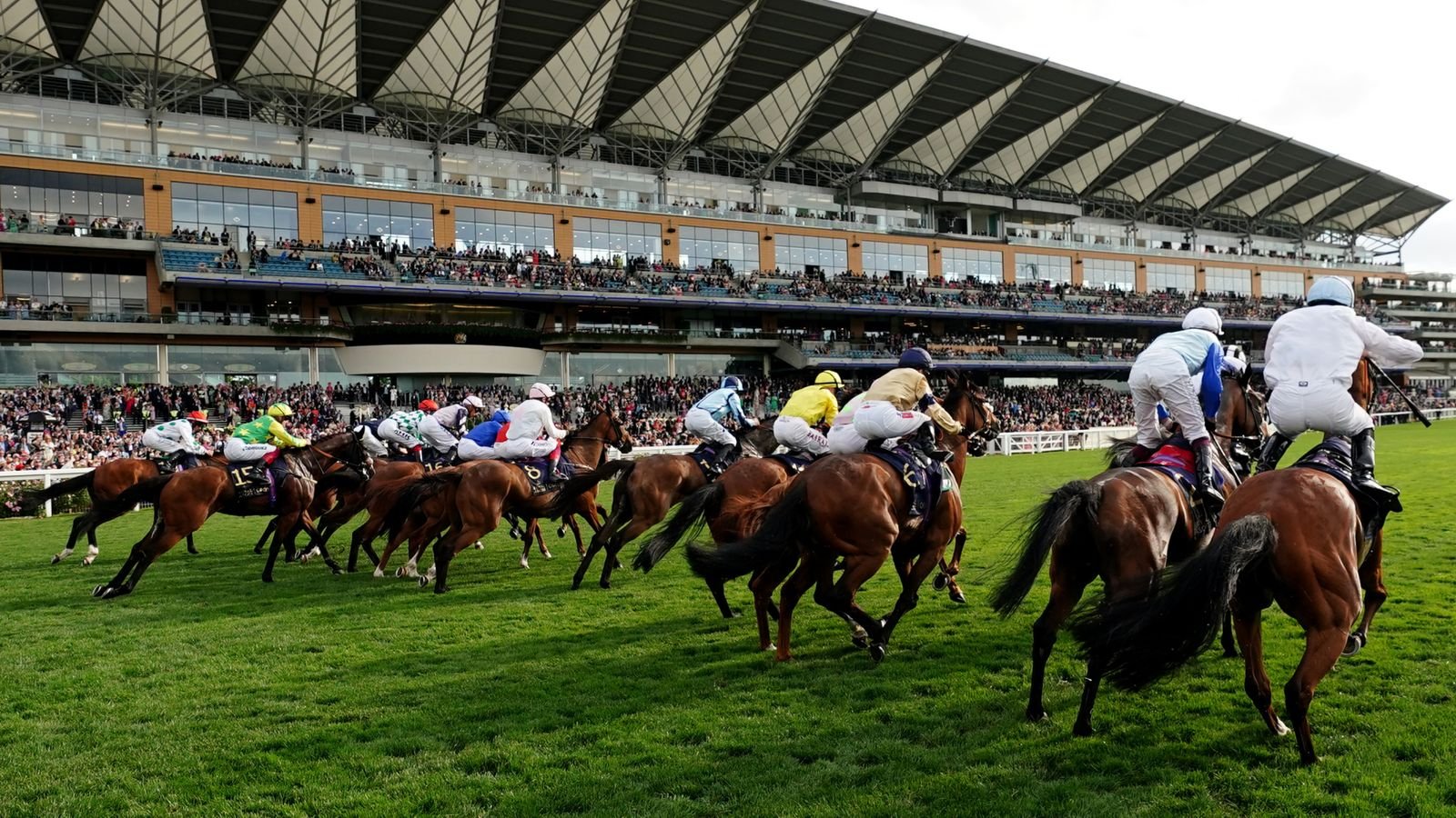 Today on Sky Sports Racing: Ascot the headline on jam-packed Friday featuring Hexham, Fontwell and Newcastle | Racing News