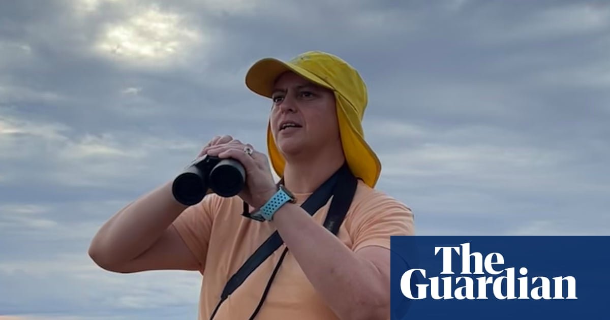 ‘I felt like a bird god’: why comedian Geraldine Hickey is excited for this year’s Aussie Bird Count | Birds