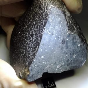 Northwest Africa 7034 Martian Meteorite