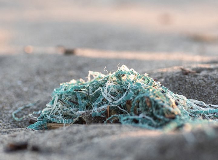 A Toxic Synergy Arises When 'Forever Chemicals' Merge With Microplastics : ScienceAlert