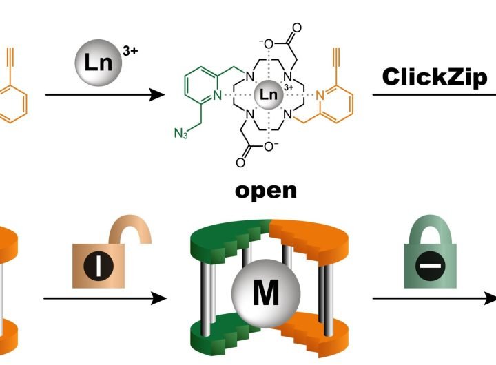 A molecular trap for exotic metals promises improved diagnostics and faster drug development