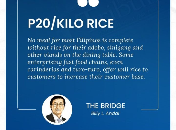 As we all know, the expectation of the masses for P20 a kilo rice remains at its height but is unrealized for reasons we will try to fathom here.