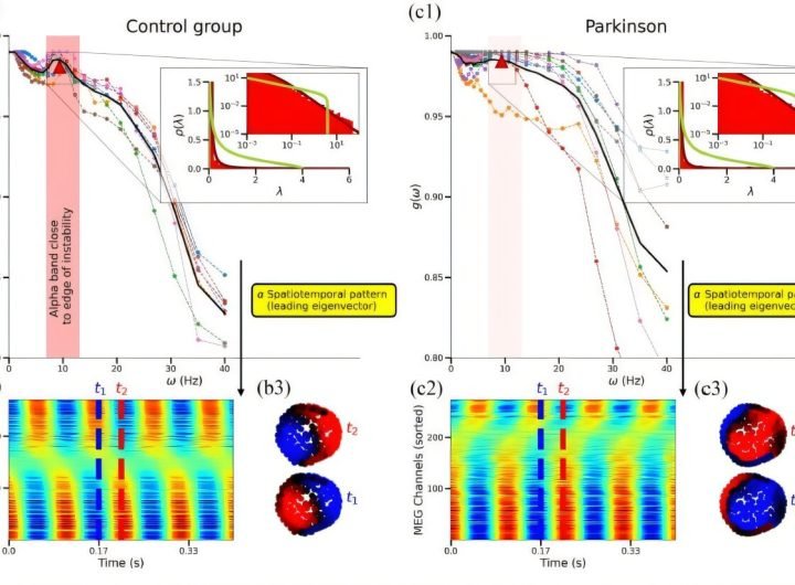 Assessing synchronized activity in the human brain through frequency-dependent covariance analysis