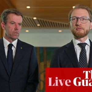 Australia politics live: Coalition says legislation needed after high court quashes ankle bracelet and curfew regime; Lehrmann barrister asks for anonymity | Australian politics