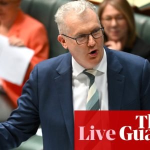 Australia politics live: Labor reveals plan to reimpose ankle bracelets and curfews on former immigration detainees; Nine announces $50m in cost cuts | Australian politics