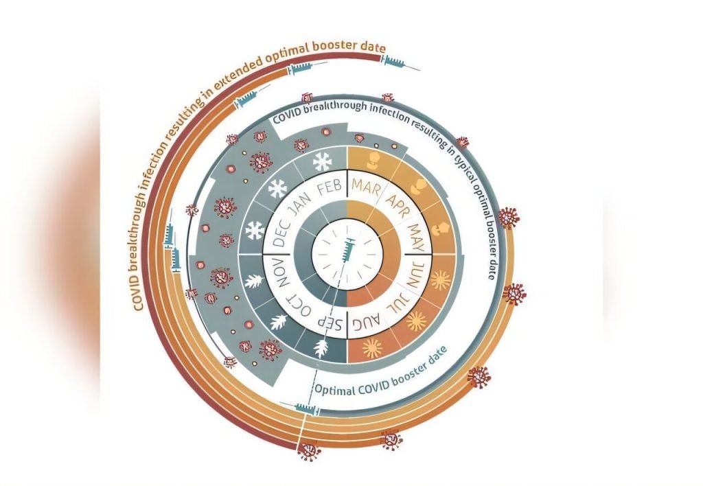 Best time for COVID-19 booster depends on where you live, infection history