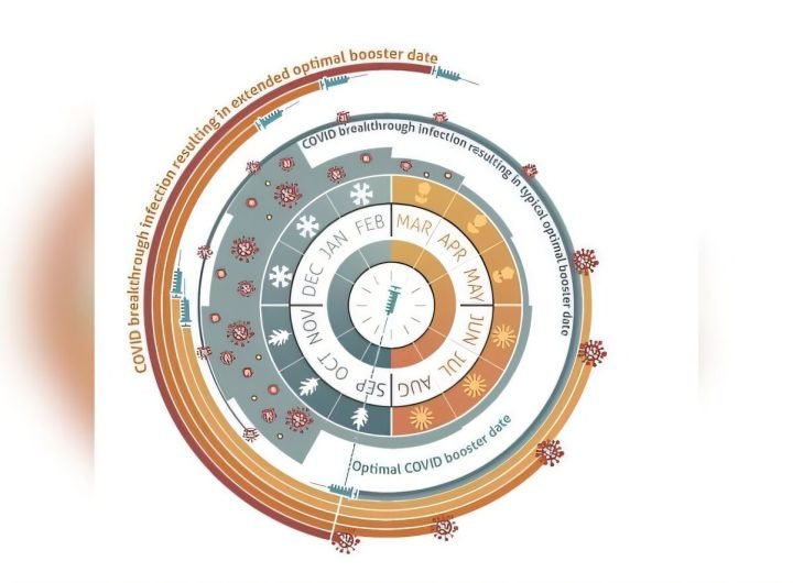 Best time for COVID-19 booster depends on where you live, infection history