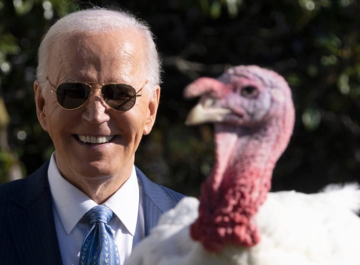 Biden gives final Thanksgiving turkey pardons of his presidency