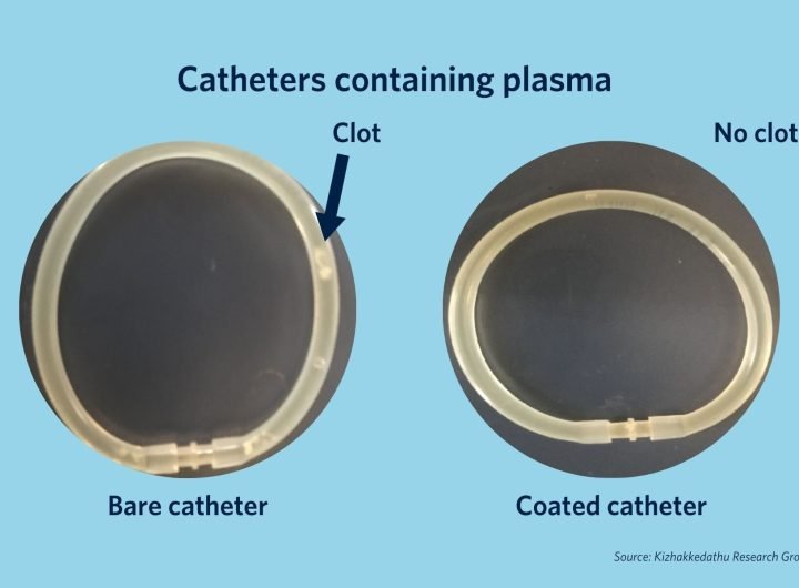 Blood vessel-like coating could make medical devices safer for patients