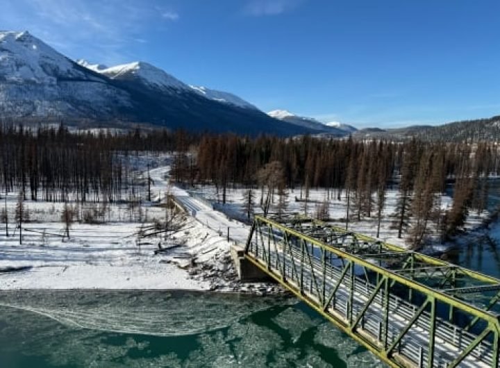 Burned forests in Jasper National Park showing signs of life ahead of winter freeze