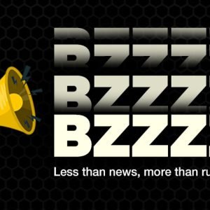 Bzzz: Incompetent yet 'untouchable'