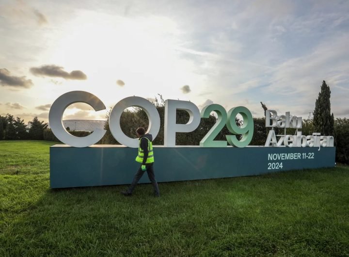 COP29 and Global Activist Repression