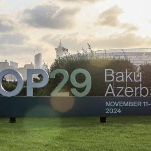 Carbon deal at COP29 as questions remain about market integrity