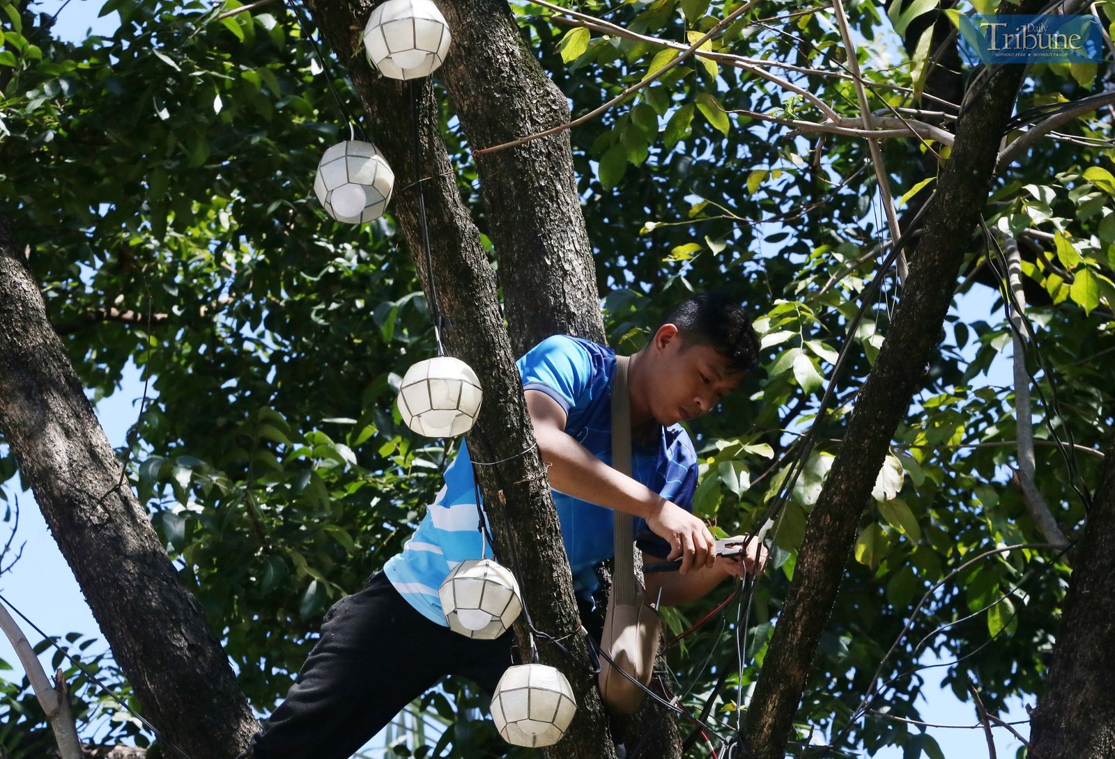 Christmas light decorations in Quezon Memorial Circle