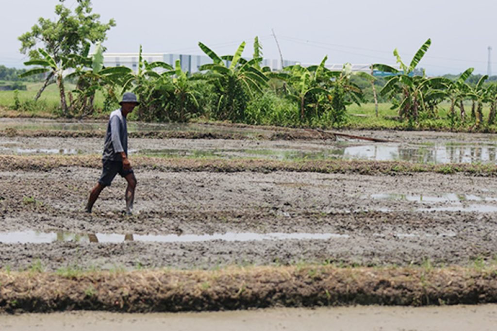 Climate risks to agri, infra to hurt growth