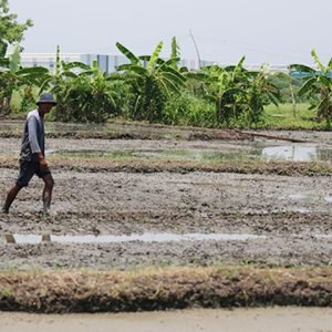 Climate risks to agri, infra to hurt growth