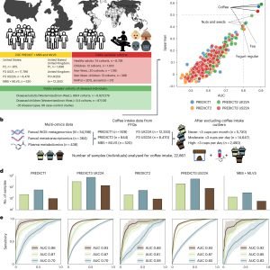 Coffee drinking habits may greatly impact makeup of gut biome, research suggests