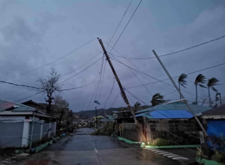 Destroyed homes and structures, uprooted trees, and downed power lines caused by Super Typhoon Pepito in Panganiban, Catanduanes, on Sunday, November