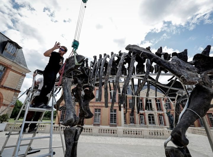 Dinosaur skeleton fetches 6 million euros in Paris sale