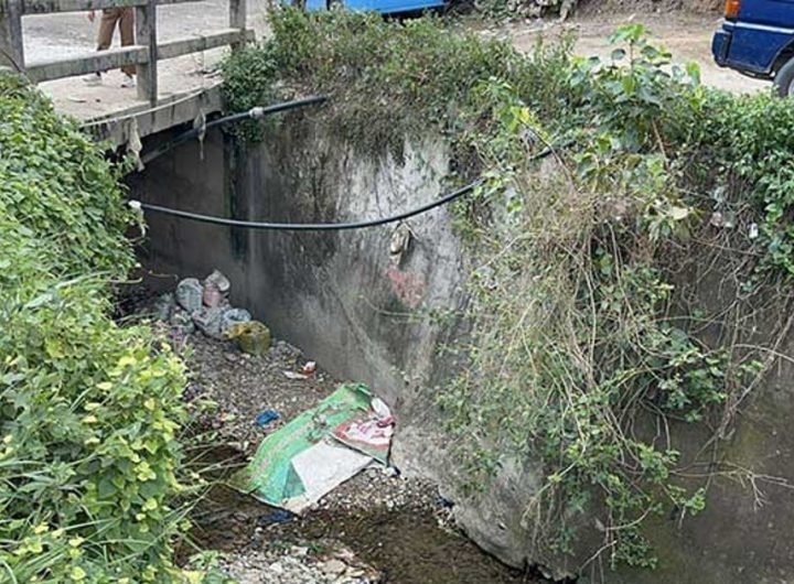 Distraught woman jumps off bridge due to love issue