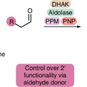 Enzyme engineering has the potential to drive more sustainable and efficient drug manufacturing