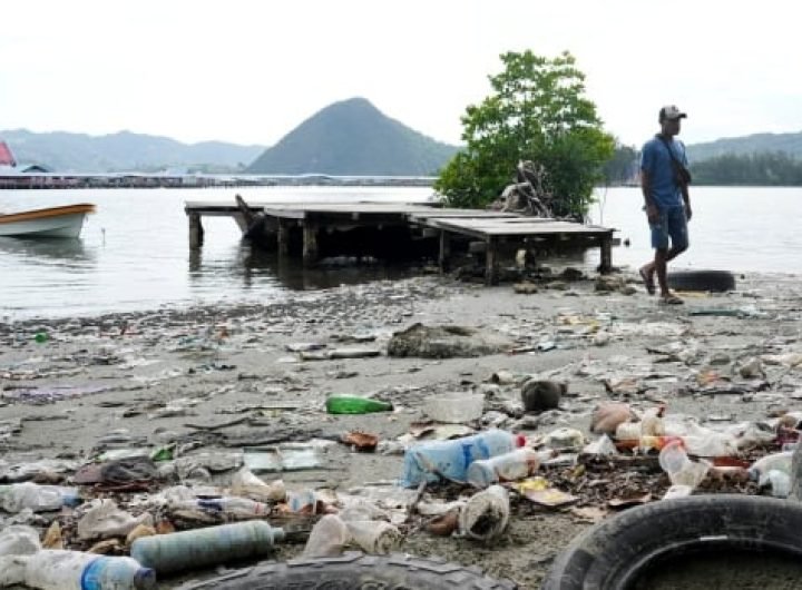 Final UN plastic treaty talks reach halfway mark