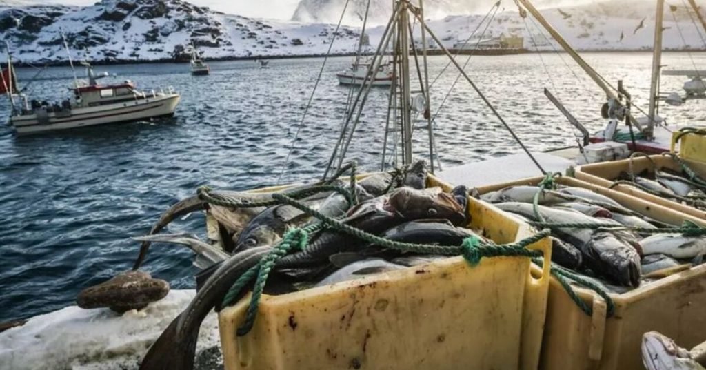 Fisherman shocked after catching 7,800-tonne nuclear submarine | World | News