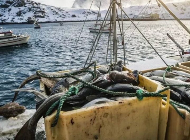 Fisherman shocked after catching 7,800-tonne nuclear submarine | World | News