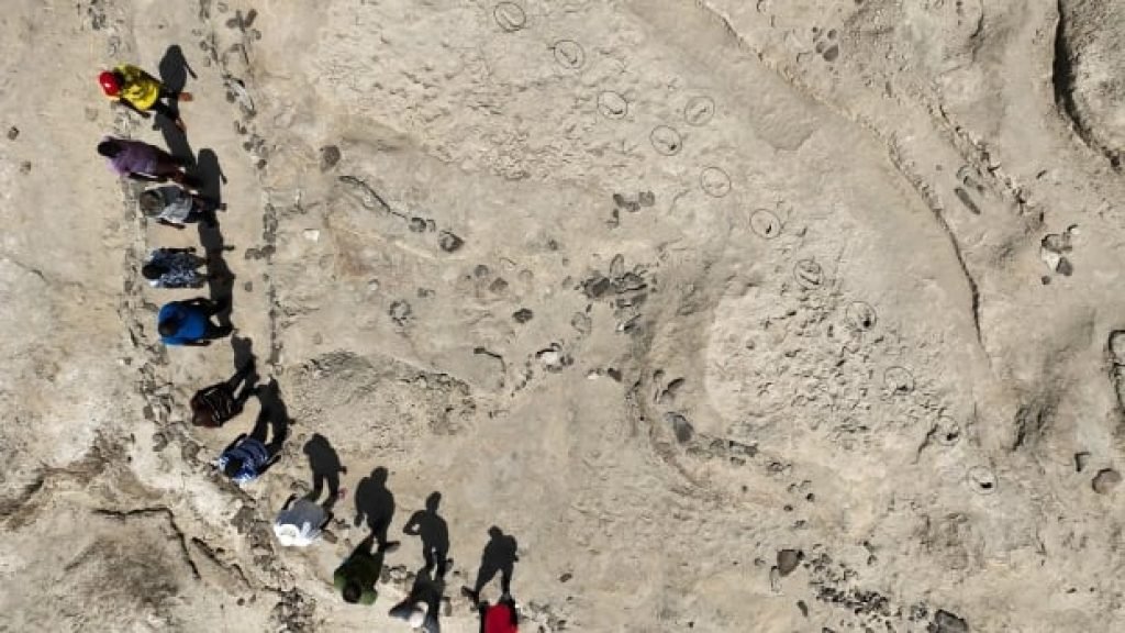 Fossil footprints suggest 2 early human species coexisted 1.5 million years ago