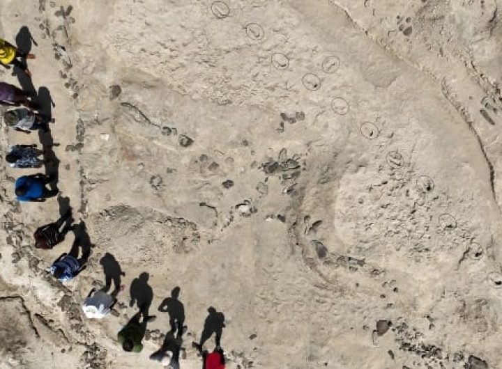 Fossil footprints suggest 2 early human species coexisted 1.5 million years ago