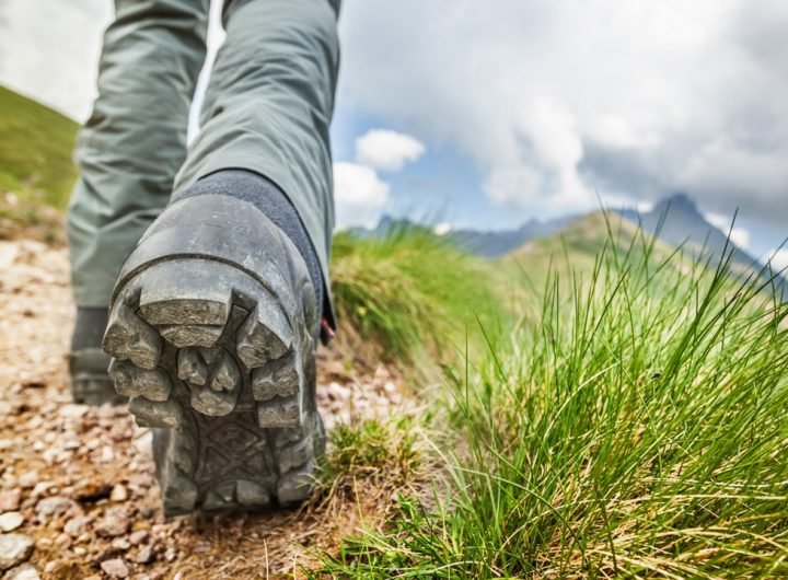 Hikers in the Italian Alpes discovered what scientists believe to be a prehistoric ecosystem that existed before the age of dinosaurs